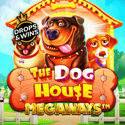 Ways Dogs